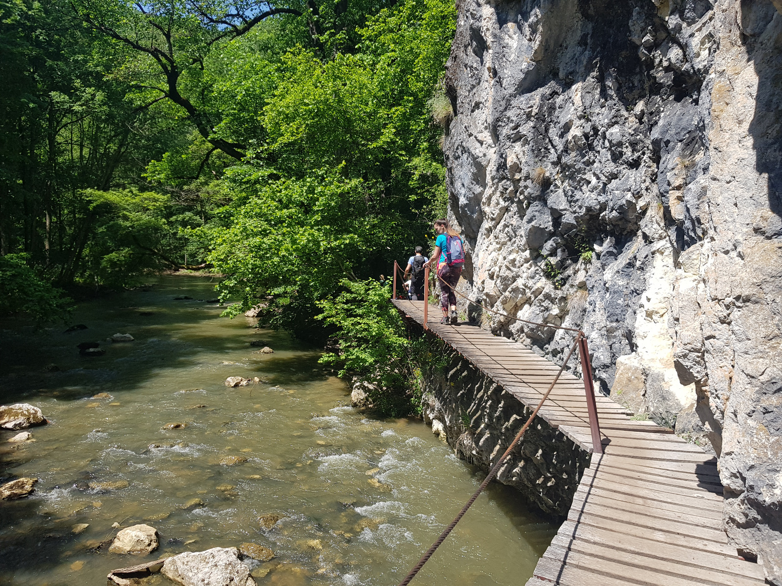 Cheile Vârghişului, rau, stanci, peisaj frumos, judetul Harghita