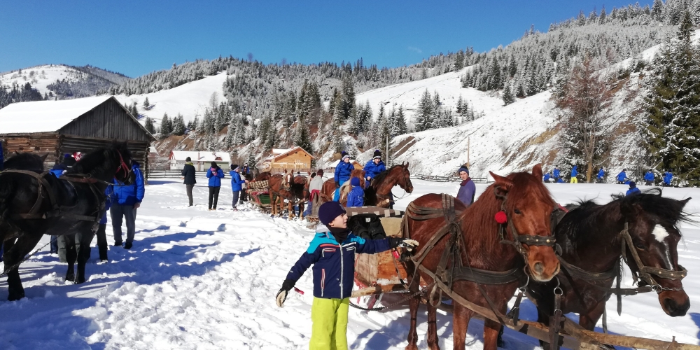 Horse Sleigh Ride in Ghimes and Ciucul Mountains